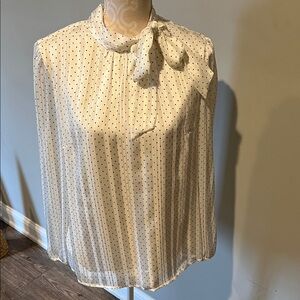 Polka dot blouse